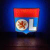 Logo - Emblème OL - Olympique Lyonnais